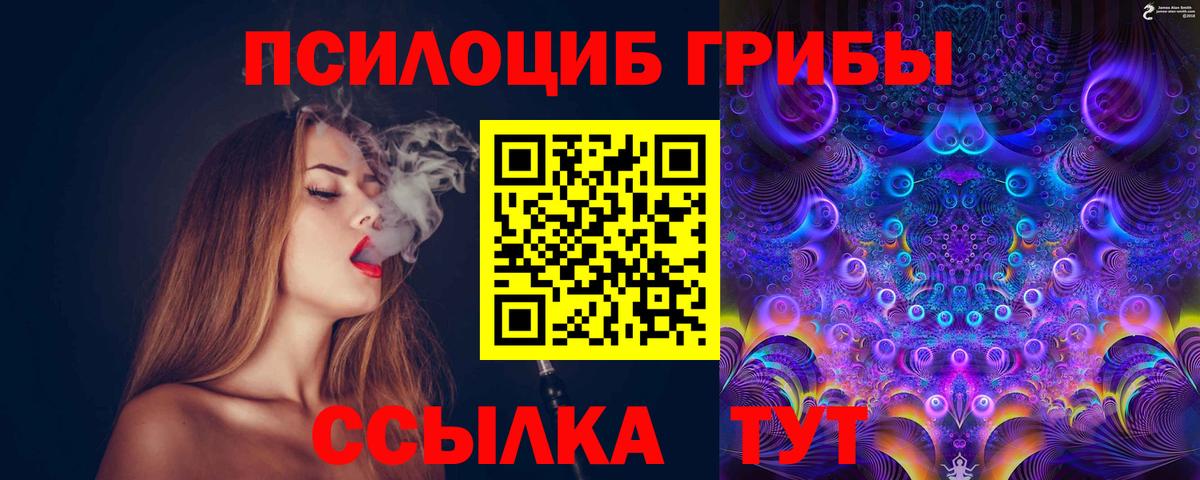 Галлюциногенные грибы Psilocybine cubensis  Вход с VPN  хочу   Луга 
