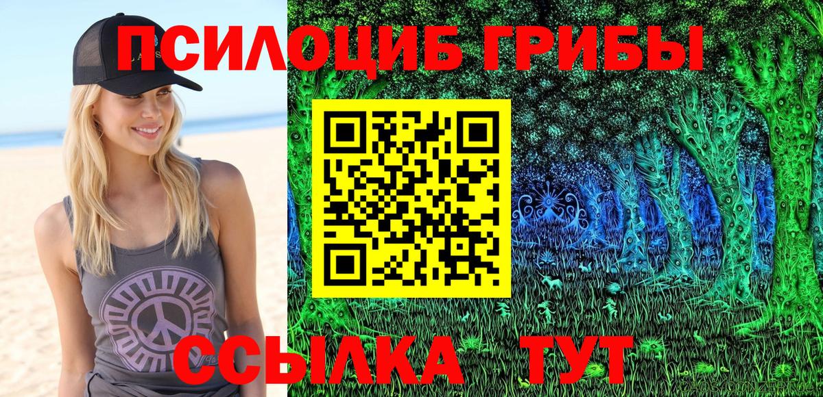 Галлюциногенные грибы Psilocybine cubensis Луга